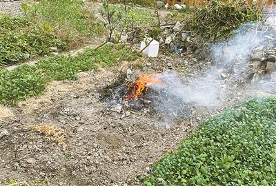 如何遏制秸稈焚燒？寧波江北經驗被點贊