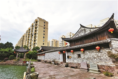 鄉賢反哺，用心用情唱響“振興曲”