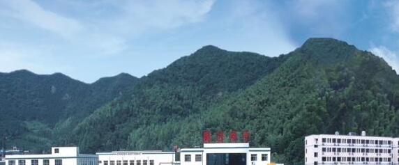 寧波百團千企“再出發” 外“拓”內“引” 
