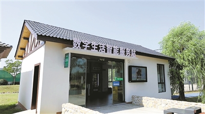 3月29日起實施 《數字鄉村建設規范》省級地方標準正式發布