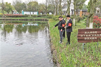 變“環境賠償金”為“生態修復金” 湖州“司法碳匯生態補償” 成就一方碧波