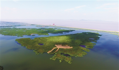 規劃面積48平方公里，是西溪濕地的近5倍 杭州開建超大濕地公園，它有著怎樣的“前世今生”？