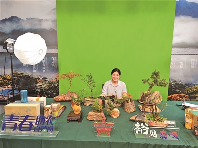 一場由泰順龜湖鎮組織開展的帶貨直播刷屏當地朋友圈