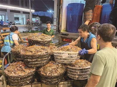 東海首批海鮮抵溫!  昨天，你家餐桌上有螃蟹嗎？