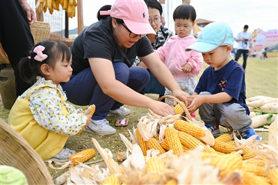 2023農民豐收節、海稻音樂節昨開幕  稻花香里說豐年 “農”墨重彩繪“豐”景