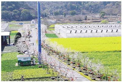 1000萬元基金支持100個鄉村項目 蕭山政企攜手為鄉創夢想“買單”