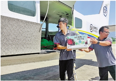 一條魚6小時從建德“游”到鎮江 浙江首條跨省低空物流航線昨日首航
