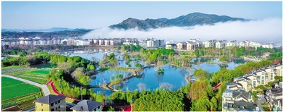 杭州連續九年獲評美麗浙江考核優(yōu)秀市